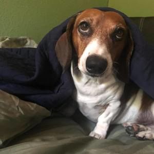 Meet your Posher, Teodora